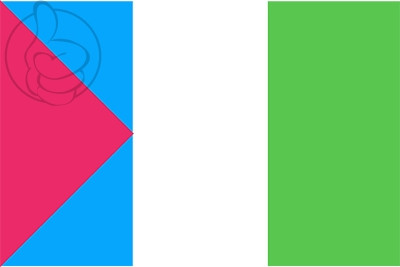 Bandera Condorcanqui