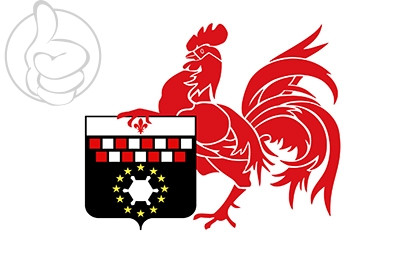Bandera Charleroi