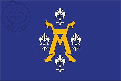 Bandera Turku