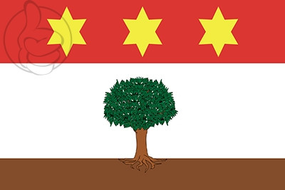 Bandera Zebbug