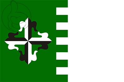 Bandera Guaynabo
