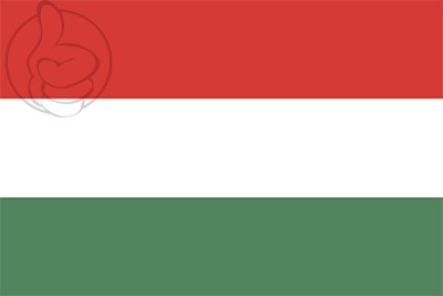 Bandera Esteli