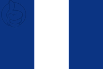 Bandera San Alejo