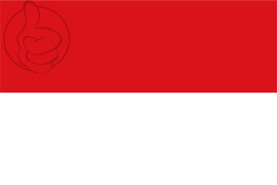 Bandera San Ramón