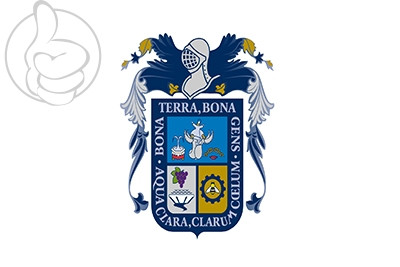 Bandera Aguascalientes