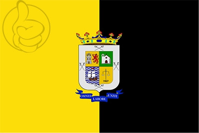 Bandera La Aldea de San Nicolás