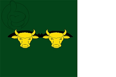 Bandera Rocallaura