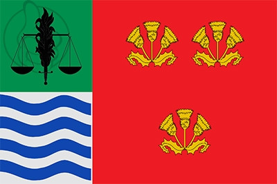 Bandera Soneja
