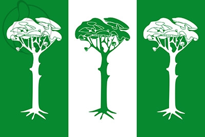 Bandera Valdepinillos