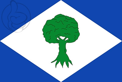 Bandera Noceda del Bierzo