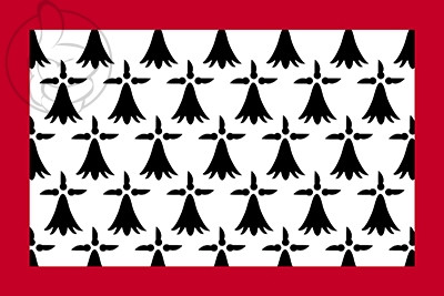 Bandera Lemosín
