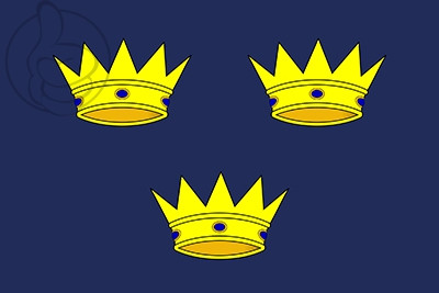 Bandera Munster