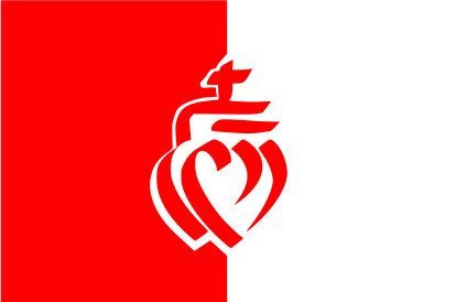 Bandera Vandea