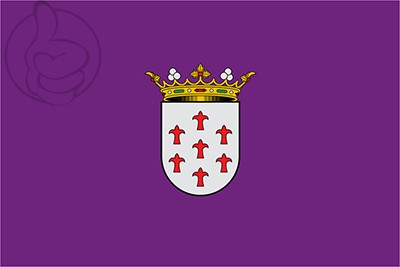 Bandera Alcantarilla