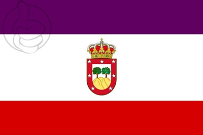 Bandera Tres Cantos