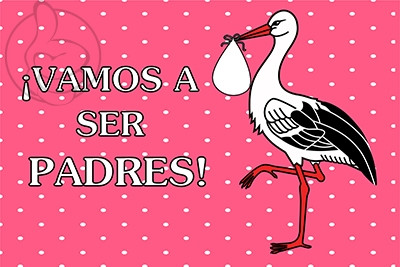 Bandera Vamos a ser padres (rosa)