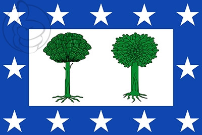 Bandera Valdesimonte
