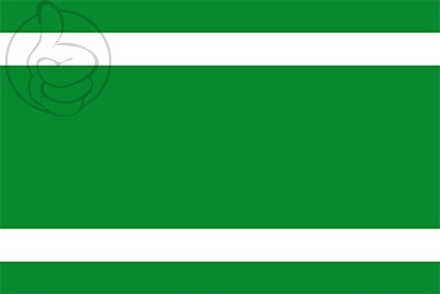 Bandera Ingenio