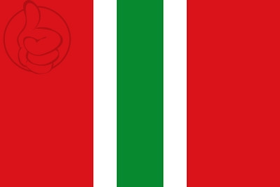 Bandera Valle de Santa Ana