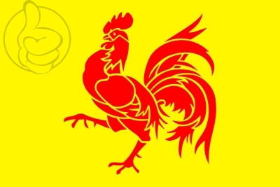 Bandera Región Valona