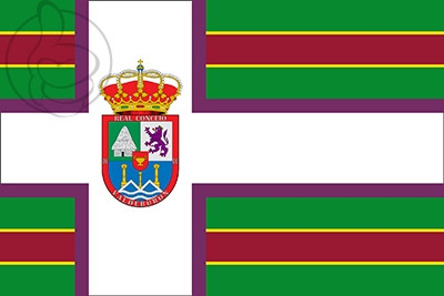 Bandera Burón
