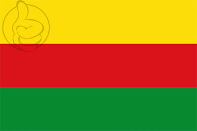 Bandera Villa del Rosario