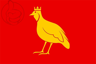Bandera Aunis