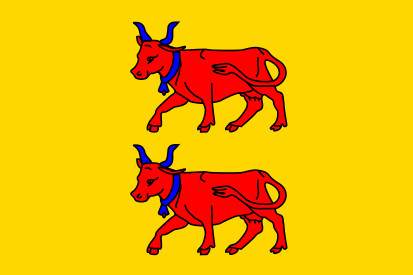 Bandera Béarn