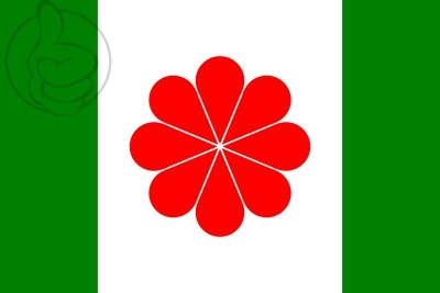 Bandera Taiwán independentista