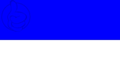 Bandera Tapia de Casariego