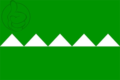 Bandera Salinas