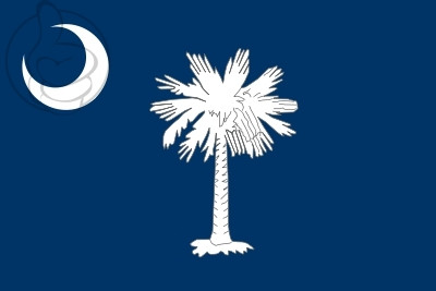 Bandera Carolina del Sur