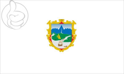 Bandera Escudo de Cali