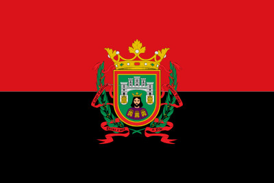Bandera Ciudad de Burgos Personalizada