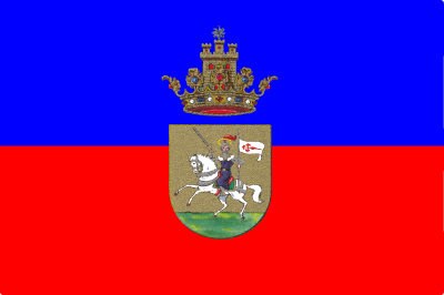 Bandera Medina Sidonia C/E