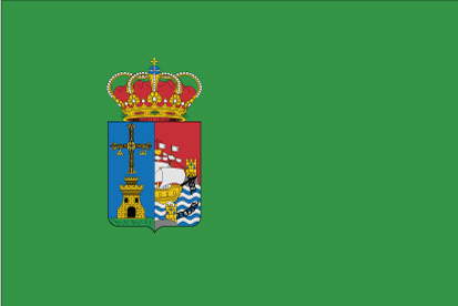 Bandera Castrillón C/E