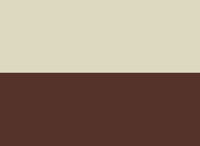 Bandera Carmelitas