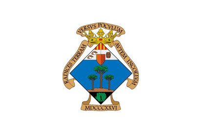Bandera Pinós, el/Pinoso