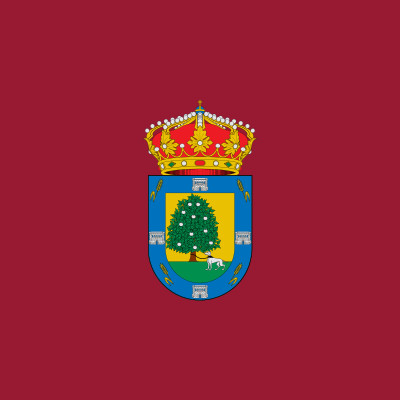 Bandera Palacios de Goda