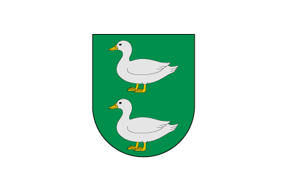 Bandera San Esteban de los Patos
