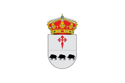 Bandera Calamonte