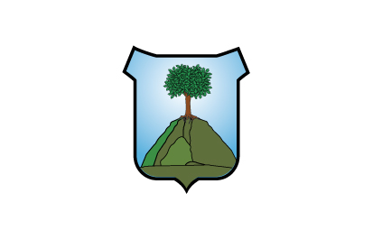 Bandera Puigpunyent