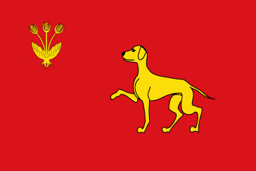 Bandera Calaf