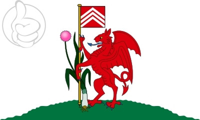 Bandera Cardiff
