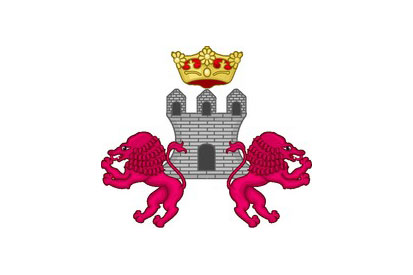 Bandera Condado de Treviño