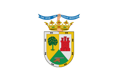 Bandera Valle de Mena