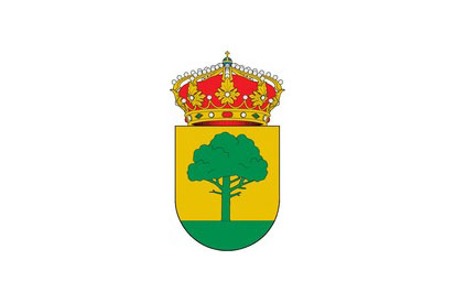 Bandera Villamedianilla