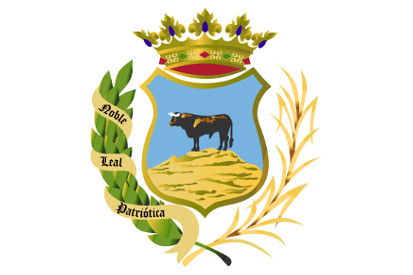 Bandera Montoro