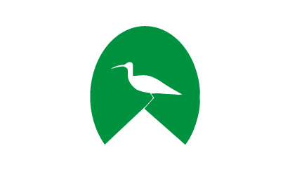 Bandera Mazaricos