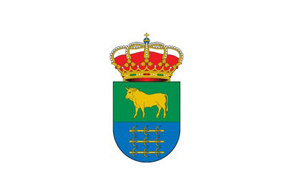 Bandera Cañaveruelas